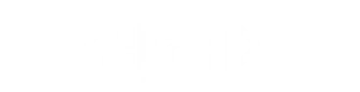 Home 9 Epam white